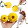 Pet Products Indestructible Rubber Ball Pet Toys Fetch Bite Toy Chew Play Fetch Dog Training Ball