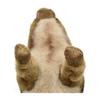HANSA Animal Plush Toy Red Boar No.4853