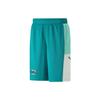 Спортивные шорты с эластичной резинкой на талии и сеткой с цветными блоками Мужские штаны Зеленые 848944-14