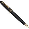 Platinum #3776 HIGO INLAY "KOSUKE" Fountain Pen GINKGO Fine Nib PTB-30000Z#96-2