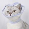 Delicate Transparent Recovery Collar Ensuring Comfort and Protections for Cats Dogs Postoperative Care & Injury Recovery