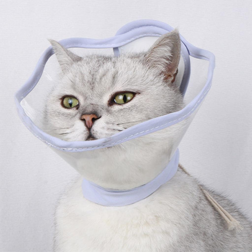 Delicate Transparent Recovery Collar Ensuring Comfort and Protections for Cats Dogs Postoperative Care & Injury Recovery