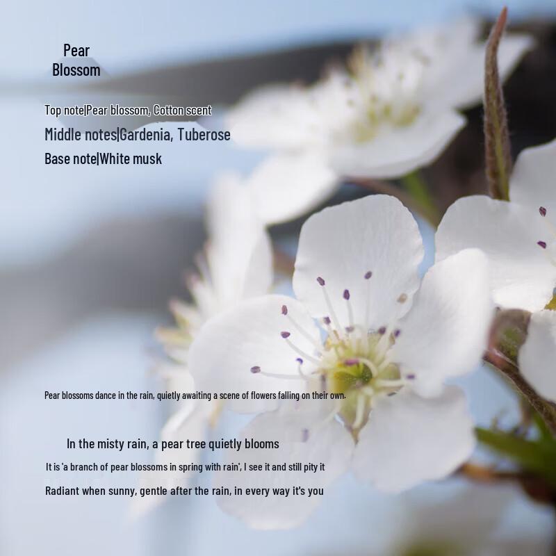 Tesori D'oriente Repair Fragrance Shampoo