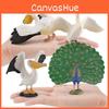 Wildlife Pelican Peafowl Animal Pvc Models For Kids Educational Decor And Toys