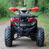 Little Warrior 1000W Kids' Electric All-Terrain ATV