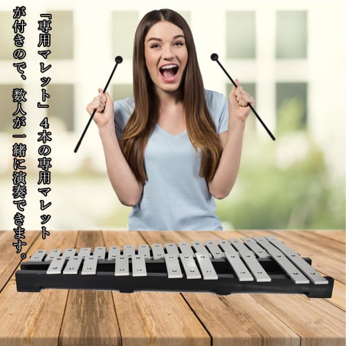 ENNBOM Tabletop Metallophone, 30 Notes, Folding, with 4 Mallets and Storage Case