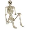 Halloween Skeleton Life Size Realistic Human Bones PP Material Seven Adjustable Joints Suitable For Halloween Or Prank Themes