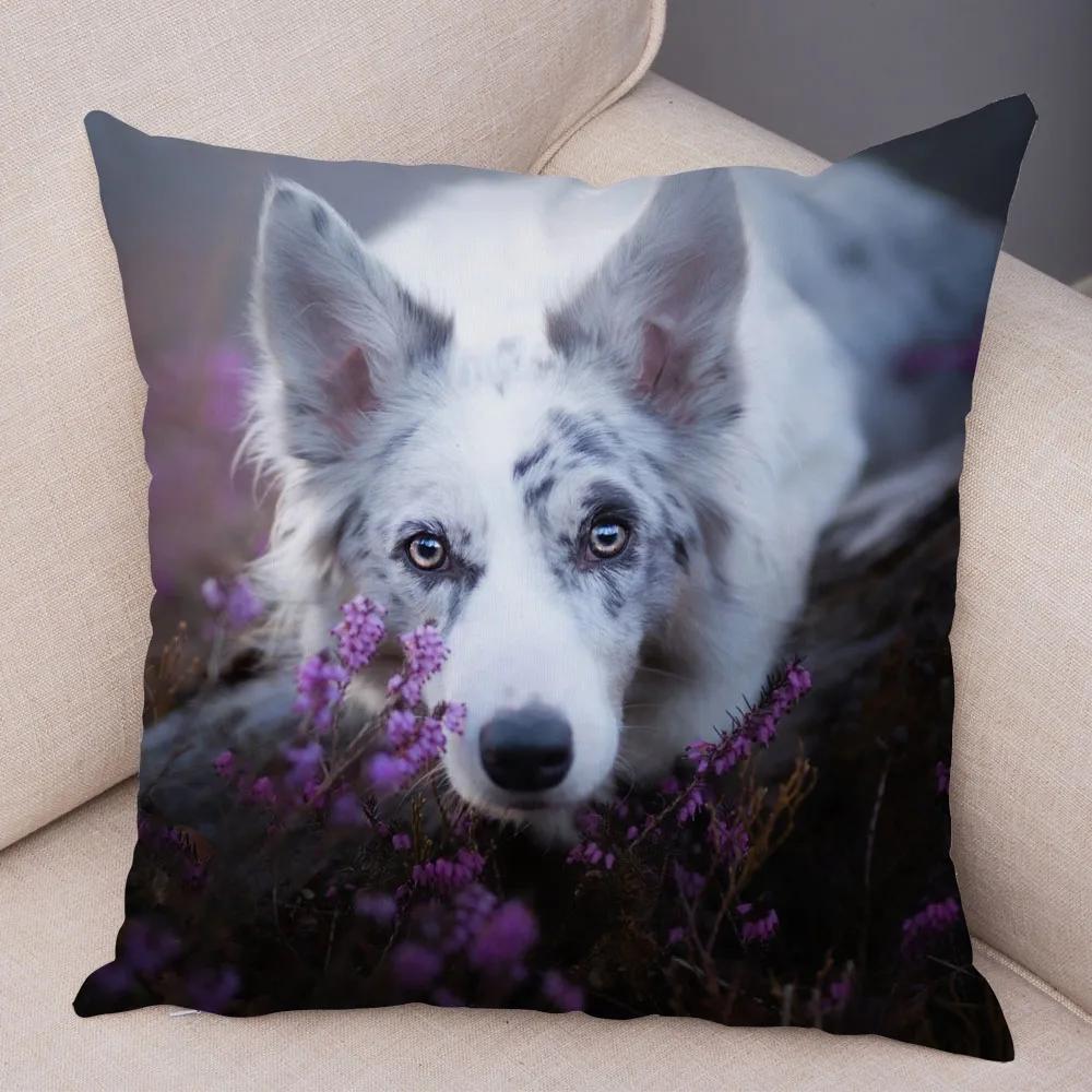 Soft Plush Cute Pet Animal Cushion Cover Scotland Border Collie Pillowcase for Sofa Car Decor Dog Printed Pillow Case