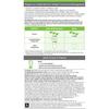 Herbalife Nutrition Formula 1 Кульфи Шейк (500 г)