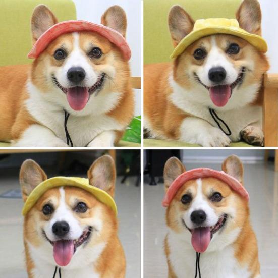 Corgi Sun Hat Pet Cap with Ear Holes Dog Sun Cap with Adjustable Neck Strap for Small And Medium Sized Pets Outdoor Sun Protection