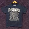 Футболка Pantera Electrified Snake Размер L