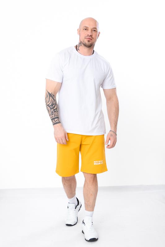 Шорты (Мужской) Лето 8123-057-33 HC