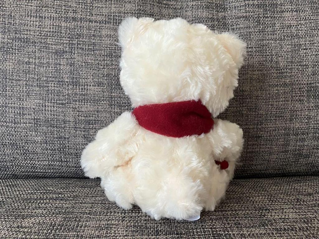 [USED] Plush Teddy Bear THE KISS