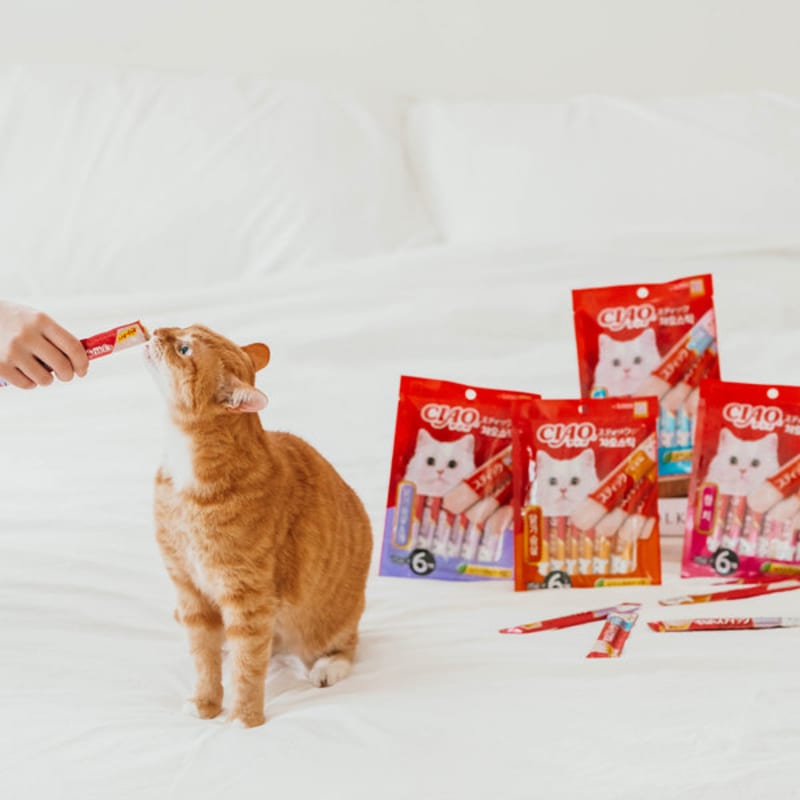 [Pet] Inaba Chao Stick куриная грудка и краб 15 г