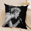 Pink Trustfall Pnk Singer Cushion Cover Silky Short Plush DoubleSided Printed Pillow Case for Sofa All Seasons Home Decor Gift