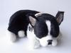 Ninian and Kino Perfect Pet Boston Terrier Plush Stuffed Perfect Dog Stuffed Animal (Small) Toy, Realistic, Lifelike, Animal-Like Animal, Soothing,