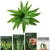 2Pcs Simulated Plants UV Resistant Artificial Ferns Realistic Greenery No Maintenance Indoor Outdoor Decor