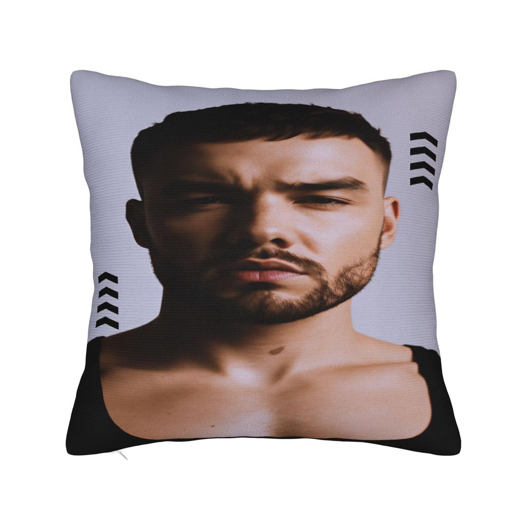 L-Liam Payne Singer Pillow Case Soft Pillow Cover Morden Pillowcases For Living Room Chair