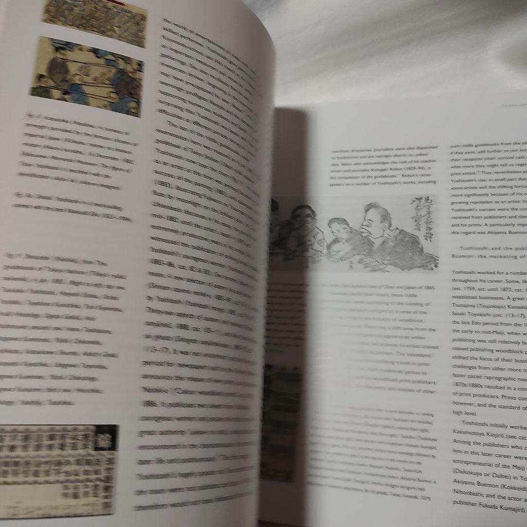 [Б/У] «Ёситоси» Сборник комментариев Ёситоси Цукиоки к иностранным книгам