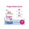 Guigoz Junior 4ème Age 800g