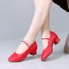 2025 New Square Dance Shoes Soft-soled Women's Dance Shoes Practice Shoes Teacher Shoes Four Seasons Ballroom Dancing Shoes Mid-heeled Shoes
