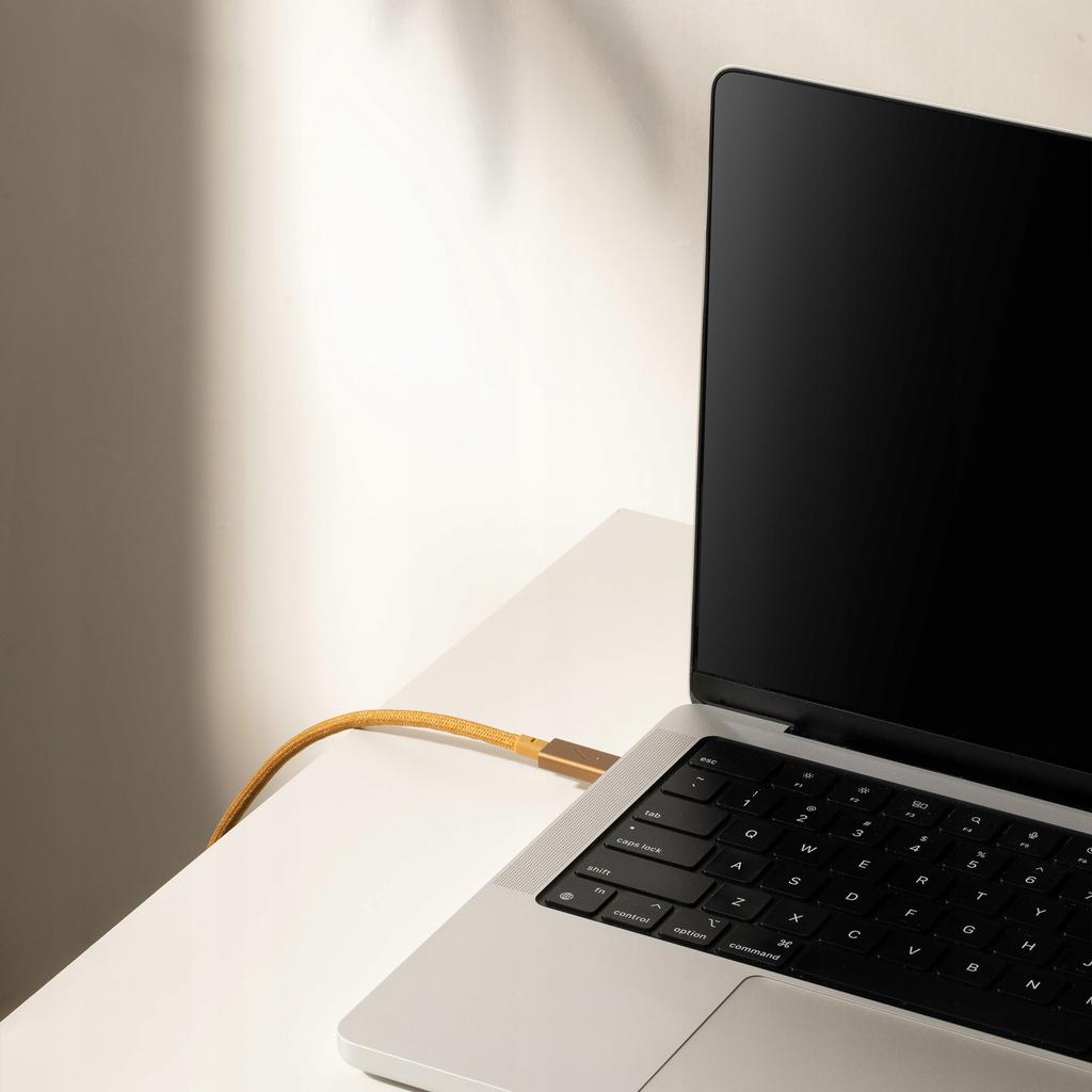 Native Union Usb Type C - Usb Type C Cable 2.4 1 Pc