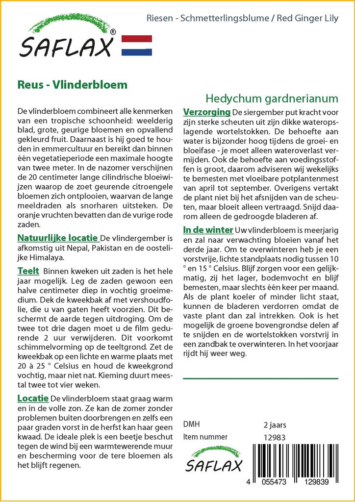 SAFLAX Подарочный набор - Красная имбирная лилия - 10 семян - С подарочной коробкой, карточкой, этикеткой и субстратом для горшков - Hedychum gardnerianum