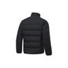 Li-Ning Off-Season Solid Color Stand Collar Slim Fit Short Down Jacket Men Jacket AYMT101-1