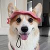 Corgi Sun Hat Pet Cap with Ear Holes Dog Sun Cap with Adjustable Neck Strap for Small And Medium Sized Pets Outdoor Sun Protection