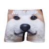 [Hip Shop] Men's Animal Underwear, Akita Dog