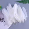 50Pcs Shellfish Feather Goose Feather Diy Handmade Jewelry Accessories Handicrafts Cat Toys Decorative Feathers
