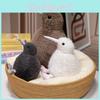Kiwi Long Brown Mouth Bird Plush Toy Cartoon Child Bedroom Decoration Doll Gift