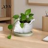 Игривый дизайн Горшок для цветов 3D-печатный Горшок для цветов-ракушек, Влагостойкий Мини-горшок с волнистым краем и влагостойким дизайном дренажного отверстия,