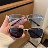 New Metal Silver Edged Cat Eye Sunglasses Women Outdoor Sports UV400 Protection Goggles Gafas De Sol Fashion Eyewear