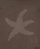 THE COLDEST MOMENT Tcm Starfish Logo Knit (Brown)