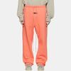 Fear of God Essentials Флисовые спортивные штаны FW22 Свободный крой С принтом логотипа Мужские штаны Кораллово-красный FOG-FW22-385