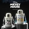 Germ Mickey Smart Kids Insulated Bottle