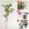 5 шт. опорных колышков для растений, многоразовые, имитация веток деревьев, опоры для растений, кронштейн для лазания по виноградной лозе, для горшечных растений, садовые инструменты