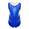 Девочки Металлический Гимнастический Танцевальный Купальник Без Рукавов С Вырезом Капелька На Спине Прозрачная Сетка Пэчворк Блестящие Стразы Боди