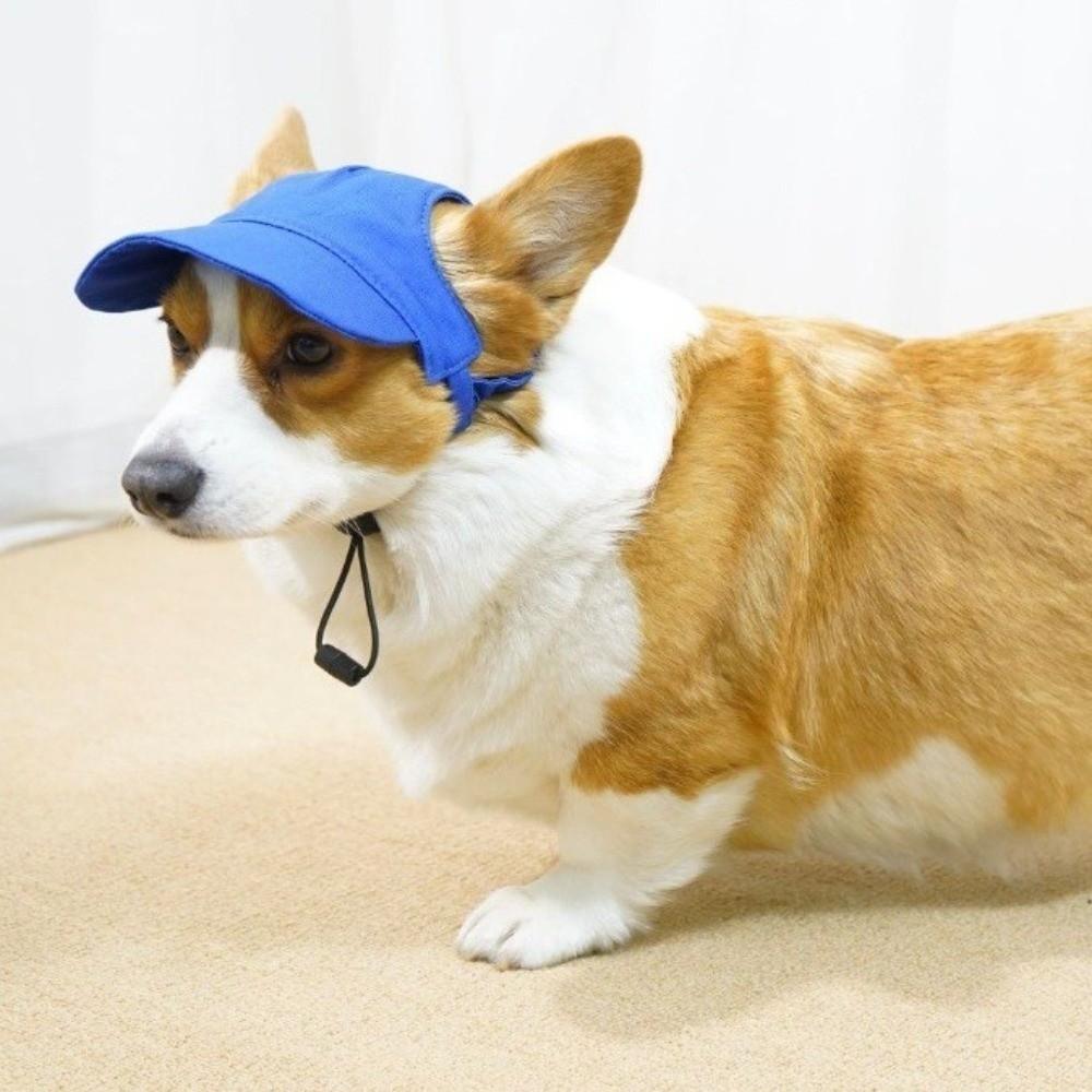 with Ear Holes Dog Sun Hat Sun Protection Dog Sunscreen Hat Handsome Summer Cat Cap  Outdoor Sports