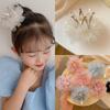 Vintage 3D Crown Lace Hair Pin Clip Princess Kawaii Children Girls Decroative Hairpin for Kids Birthday Party Accessories Gift