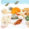 11pcs Hermit Crab Shells Medium Small Growth Turbo Seashells Sea Shell For Hermit Crabs