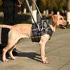 Soft Fabric Dog Leg Support Harness Multi Sizes Disabled Dog Mobility Strap  Arthritic Old Dog Walk