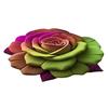 3D Visual Flower Rug Absorbent Floral Floor Mat with Anti-Slip Bottom Decorative Living Room Area Rug for Bedroom Bathroom Entryway