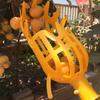 Fruit Picker Tool Fruit Harvesting Basket with Teeth Light-weight Fruit Picking Tool from Ground for Loquat Plum Bayberry Peach