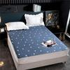 Waterproof Bedding Sheet Pad Soft Thicken Quilted Mattress Cover Fitted Sheet With Elastic Band Anti-Bacteria Mattress Topper