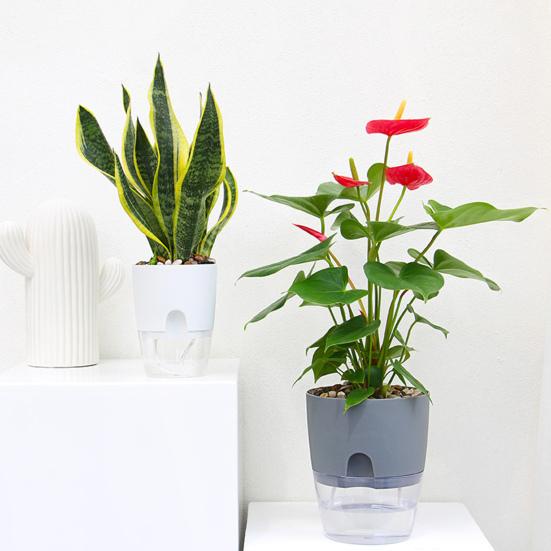 Цветочный горшок Yousheng с дренажными отверстиями, отверстием для залива воды, автоматическим самополивом, гидропонным цветочным горшком, прозрачным основанием, гидропонной посадкой