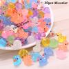 30pcs Mini Resin Colorful Duck Ornament Miniature Figures Tiny Duck Handicraft Micro Landscape Dollhouse Decoration