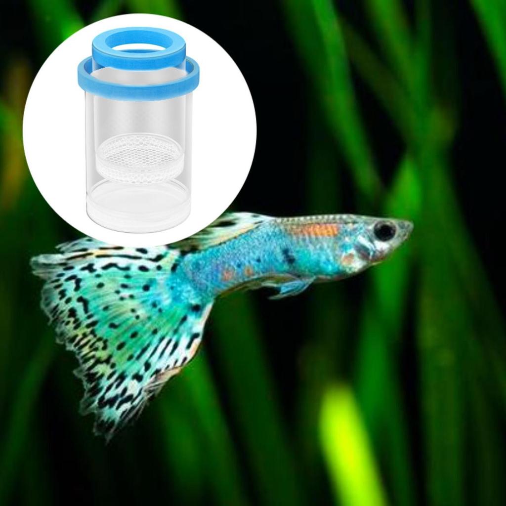 Изоляционный ящик для разведения рыб для аквариума, пластиковая сетка, инкубатор, ящик для разведения мальков рыбок, креветок, рыб-клоунов, гуппи