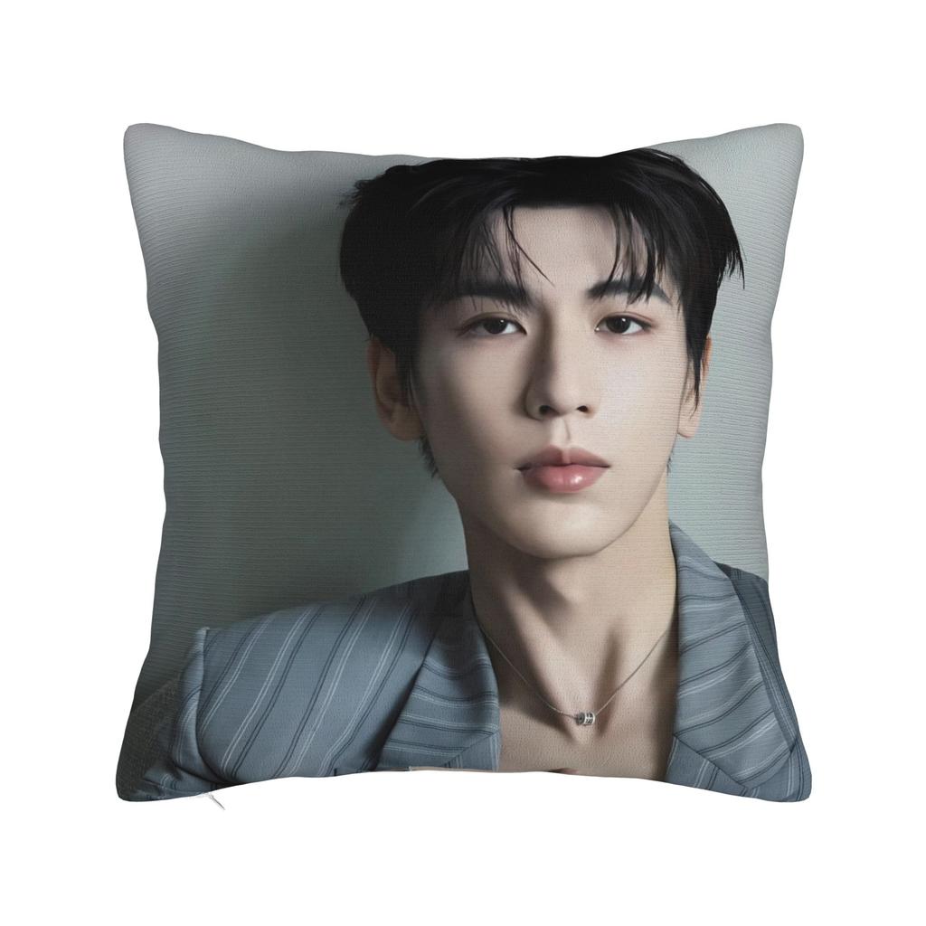 Zhang Linghe Pillowcases Kawaii Pillow Case For Living Room Sofa Custom Pillow Cover